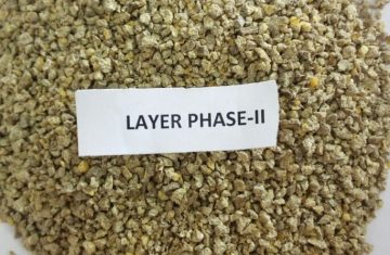 Layer Phase – II