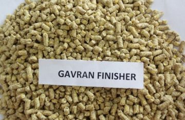 Gavran-Finisher